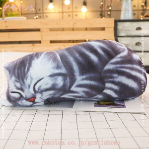 500~OFFN[| 킢ʂ w V~[Vybgʂ  { ʋC ͋C AȂʂ NX}Xv[g \t@[w L̎q Lʂ 