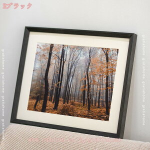 300~OFFN[| ؐz AN TCY 䎆t Ǌ| y y Ȃ tWJ[ tHgt[ i` Ƒʐ^ LOʐ^ i R  q ybg ܎O {Q l