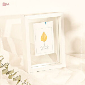 t[eBOt[ A4TCY tHgt[ ʐ^  Ǌ| X^h VR KX Vv Mtg v[g A[gt[ rO ʐ^ |XgJ[h z 