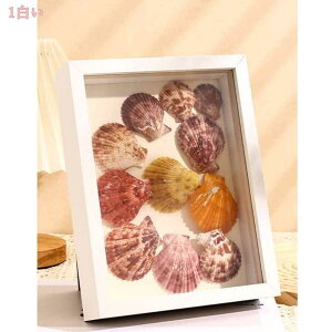 300~OFFN[| {bNXt[ W{̊z ݃tHgt[ ؐ hCt[ zMtg ̃EFJ{[h 蕨 ʐ^ v[gh Vh[{bNX fBXv