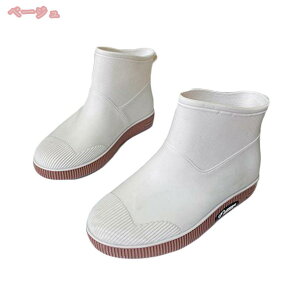 500~OFFN[| Cu[c fB[X  h C ~h V[gCu[c CV[Y Ȃ JC h ʋ ʊw y y ₷ ꂢ 킢 l 