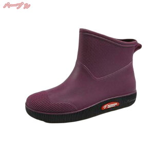 500~OFFN[| Cu[c fB[X  h C ~h V[gCu[c CV[Y Ȃ JC h ʋ ʊw y y ₷ ꂢ 킢 l 