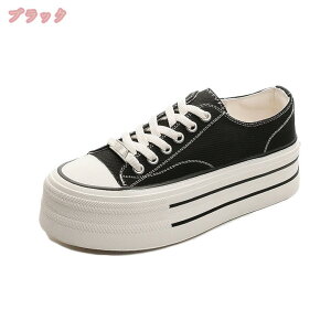 1000~OFFN[| fB[X 傫TCY EH[LOV[Y JWAV[Y y Ōt ƌC R i[XV[Y ʋC Ȃ tbgV[Y LoXV[Y 