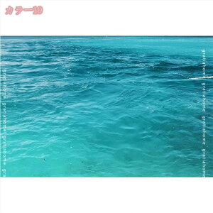 500~OFFN[| J[ybg gΉ ᔽ O}bg 􂦂  AC{[ O }bg k ėp  3D Lk qgf C lfUC Be[W C 􉽊w ` r