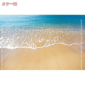 300~OFFN[| J[ybg gΉ ᔽ O}bg 􂦂  AC{[ O }bg k ėp  3D Lk qgf C lfUC Be[W C 􉽊w ` r