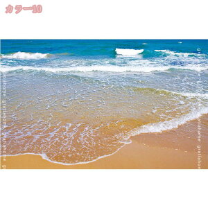 300~OFFN[| J[ybg gΉ ᔽ O}bg 􂦂  AC{[ O }bg k ėp  3D Lk qgf C lfUC Be[W C 􉽊w ` r