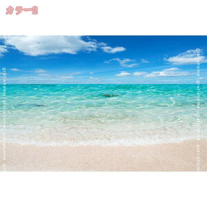 500~OFFN[| J[ybg gΉ ᔽ O}bg 􂦂  AC{[ O }bg k ėp  3D Lk qgf C lfUC Be[W C 􉽊w ` r