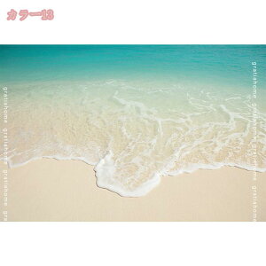 500~OFFN[| J[ybg gΉ ᔽ O}bg 􂦂  AC{[ O }bg k ėp  3D Lk qgf C lfUC Be[W C 􉽊w ` r