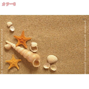 500~OFFN[| J[ybg gΉ ᔽ O}bg 􂦂  AC{[ O }bg k ėp  3D Lk qgf C lfUC Be[W C 􉽊w ` r