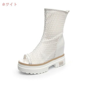 1670~OFFN[| fB[X T_ u[c I[vgD nCq[  r ₷ EGbW\[ Cq[t 10cm  u[cT_ u[c EGbWT_ t@