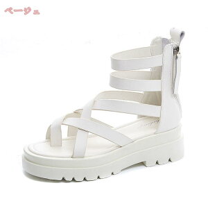 500~OFFN[| T_ fB[X  T_ OfBG[^[ q[ T_ u[cT_  T_ T}[u[c gO 5cmq[ ₷ t@Xi[  s J