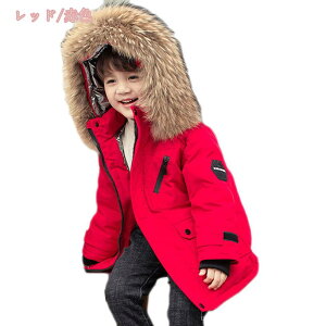 1000~OFFN[| LbY _EWPbg `jbN q ̎q j̎q _ER[g t[ht  ȓ OR[g H~ hWPbg ʊw ʉ AE^[EFA g 