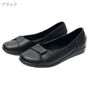 300~OFFN[|  Cu[c fB[X y Ȃ V[g Jp CV[Y ʋ ʊw ꂢ 킢 JC [Jbg AEghA ނ Ԍ p  S