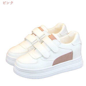 Xj[J[ fB[X tFCNU[  }WbNe[v [Jbg  ؂ tbgV[Y C tH Xj[J[ zCg JWA ₷ ɂ  ʊw  