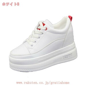 777~OFFN[| 10cmgUP Xj[J[ fB[X JWA V[Y ʋC Cq[V[Y JWAV[Y ʋ ʊw rXj[J[   킢 CR y V[N