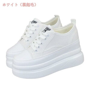 300~OFFN[| Xj[J[ fB[X   ؂ւ  jOV[Y EH[LOV[Y ₷ ɂ  ʋC y X|[cC ʋΌC ʊwC JW