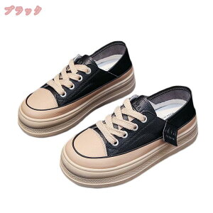 777~OFFN[| 2way fB[X  Xj[J[ Ƃ߂ 傫TCY  ₷ tbgV[Y [Jbg ؂ y^R C V[Y   y  