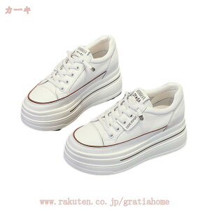 500~OFFN[| Xj[J[  fB[X   [Jbg ɂ ₷ V[Y [XAbv Xj[J[ \[ r    JWA 