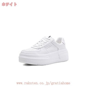 500~OFFN[| Xj[J[ fB[X Xj[J[ t@bV  fB[XV[Y jOV[Y JWAXj[J[  JWAV[Y V[Y [Jbg 