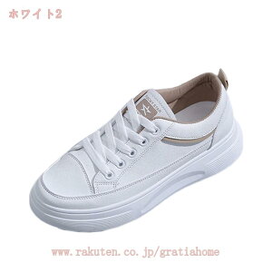 500~OFFN[| Xj[J[ EH[LOV[Y fB[X  r ₷ ₷ Ȃ [Jbg tbg _炩 JWA  V[Y  y ؂