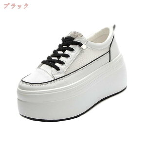 1000~OFFN[| fB[X C Xj[J[ Cq[Xj[J[  Xj[J[  [t@[ [XAbvV[Y V[Y Xj[J[ ₷ r vbgtH[V[Y 