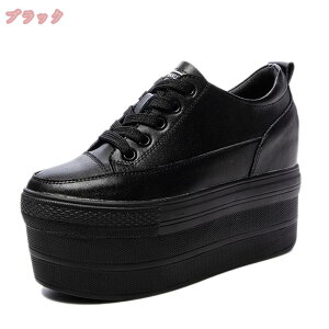 1000~OFFN[| Xj[J[ fB[X jO EH[LO y ʋC C V[Y X|[c JWA U ʋ ʊw  lC L ɂ 킢  CR  30 d