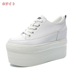 Xj[J[ fB[X jO EH[LO y ʋC C V[Y X|[c JWA U ʋ ʊw  lC L ɂ 킢  CR  30 d ₷ 