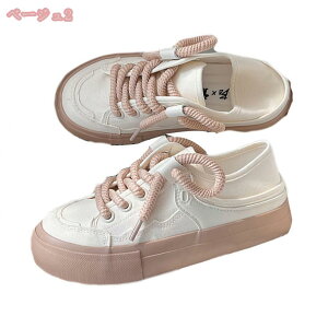 fB[XV[Y LoX [Jbg C Xj[J[ tbgV[Y ؂ Ȃ  AEghA V[Y s IV LoXV[Y y ʋC C ₷ 