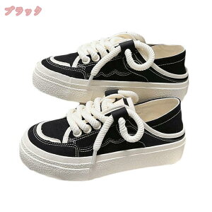 500~OFFN[| fB[XV[Y LoX [Jbg C Xj[J[ tbgV[Y ؂ Ȃ  AEghA V[Y s IV LoXV[Y y ʋC 