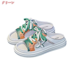 500~OFFN[| ƂȂ Xj[J[ fB[X tbgV[Y y ʋC ~Xj[J[ AEghA JWA ^C ʋ ʊwC 풅p _ ɂ T{T_ 