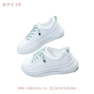 300~OFFN[| Xj[J[ fB[X ₷ EH[LOV[Y jOV[Y NV ̈كV[Y  ʋC wlp  ^C  킢 n PF V