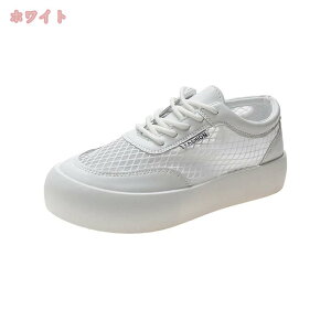 500~OFFN[| Xj[J[ fB[X  jOV[Y ʋC y JWA [XAbv [JbgXj[J[ ₷ ₷  EH[LO WMOV