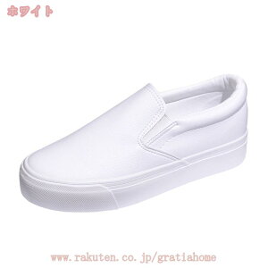 500~OFFN[| ؂ fB[X Xb| RȂXj[J[ TChSA [Jbg tbgV[Y JWAV[Y JWA Xj[J[ ɂ ₷ ~ 