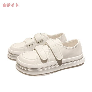 Xj[J[ fB[X  [Jbg Xj[J[  EH[LOV[Y fB[X xN ʋ X|[c ʊw ₷ ₷ ɂ jOV[Y }WbNe[v