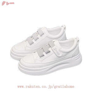 300~OFFN[|  xN Xj[J[ fB[X  [JbgV[Y }WbNe[v ؍t@bV ʋΒʊw NVbN  ₷ I` JWAC 