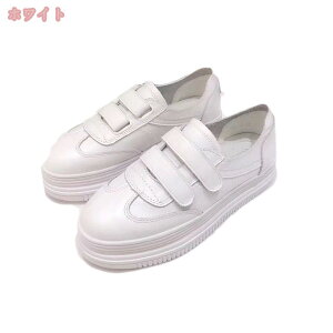 1000~OFFN[| Xj[J[ }WbNe[v Xb| fB[X ₷ Xj[J[ ؂ [Jbg  ʋC Vv ₷ JWA t@bV ʋ ʊw X|