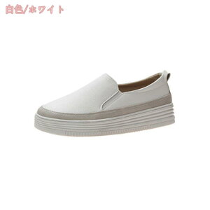 500~OFFN[| JWAV[Y fB[X Xj[J[  C Xb| Xj[J[ Cq[ EFbWq[ r LoX [t@[ l Ȃ C JV Vv