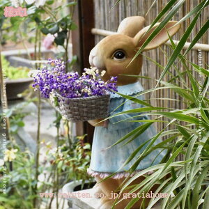 1000~OFFN[| K[fI[ig  IuWF K[f u  K[fjOG rO i CeA IuWF ̒u A[g  I[ig O fR