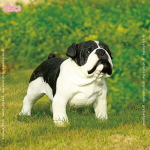 1000~OFFN[|   u CeA Aj}IuWF K[fjO G ̒u K[fI[ig ̑ | IuWF K[fIuWF u AEghA 