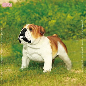 1000~OFFN[|   u CeA Aj}IuWF K[fjO G ̒u K[fI[ig ̑ | IuWF K[fIuWF u AEghA 