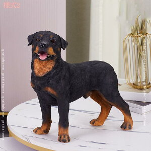 2000~OFFN[| K[fjOG   Ck  I[ig CeA K[f IuWF  G ̒u 킢 K[fI[ig h ϋv  O fR[V 