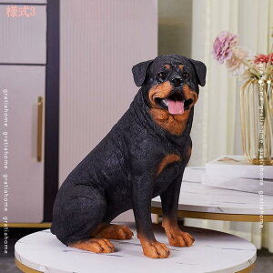 2000~OFFN[| K[fjOG   Ck  I[ig CeA K[f IuWF  G ̒u 킢 K[fI[ig h ϋv  O fR[V 