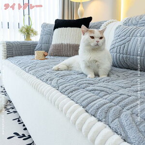 1000~OFFN[| \t@[Jo[ ~ g 2l| 3l| ӂӂ  k  n ~  It 邾 􂦂 zc L΍ \t@[V[g }`Jo