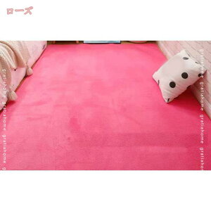 500~OFFN[| O}bg J[ybg R @Ő􂦂 O~ 1.6*1m ϖՐ 1Ng^Cv ܂ zbgJ[ybgΉ R ` GǂO~ u[ h_j 60*160 }CN