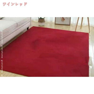 500�~OFF�N�[�|�� ���O�}�b�g �J�[�y�b�g �R�� ����@�Ő􂦂� �O�~ 1.6*1m �ϖ��Ր� 1�N���g����^�C�v �܂��� �z�b�g�J�[�y�b�g�Ή� �R�� �����` ���G��ǂ��O�~ �u���[ �h�_�j 60*160 �}�C�N