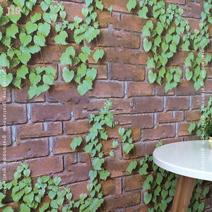 300~OFFN[| ǎ V[ K Ǘp Xg[ Ζ 嗝 NX  G{X 3D V[ V[g Be[W Xg[ ̕ǎ NbVǎ K ubN y tH[ 