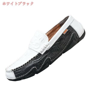 300~OFFN[| [t@[ XbvI Y hCrOV[Y ^]C y _炩 ʋ 傫TCY ^] ₷  R[f y  _炩 \[ Vv t 