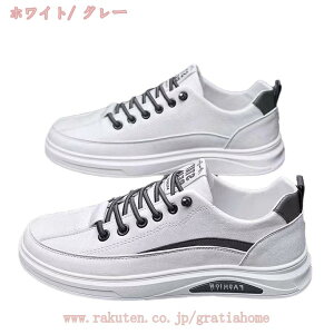 y Xj[J[ Y tFCNU[  V[Y [Jbg C ʋ ʊw jp  Sn EI[LOV[Y Y WjA Xj[J[ [XAbvV[