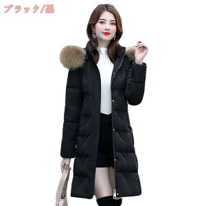 1000~OFFN[| _ER[g fB[X WPbg t[ht  AE^[ ~ O t@CNt@[ ׌ y  g h h Vv JWA 傫TCY 