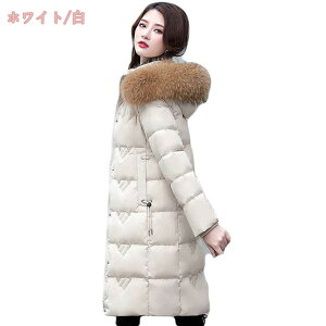 1000~OFFN[| _ER[g fB[X WPbg t[ht  AE^[ ~ O t@CNt@[ ׌ y  g h h Vv JWA 傫TCY 